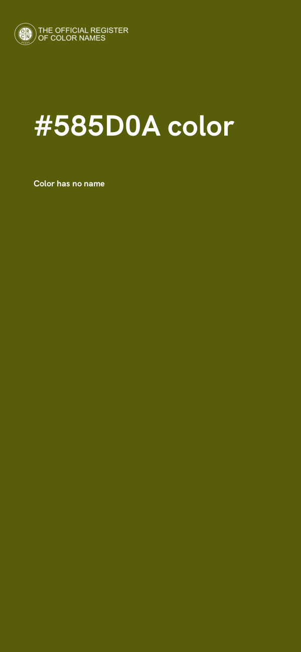 #585D0A color image