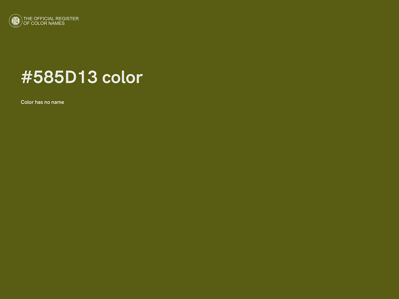 #585D13 color image