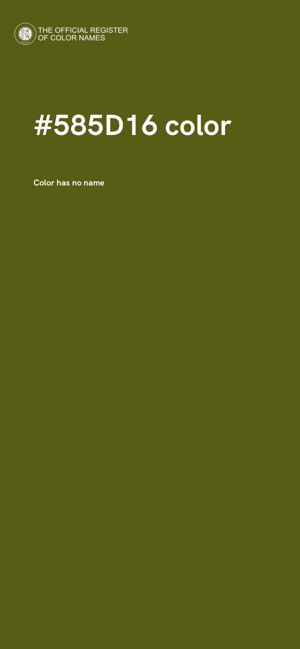 #585D16 color image