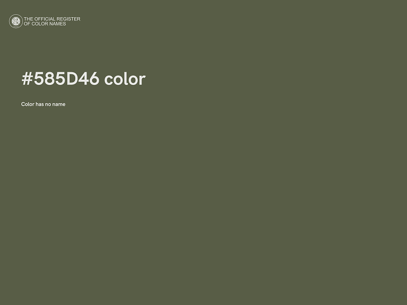 #585D46 color image