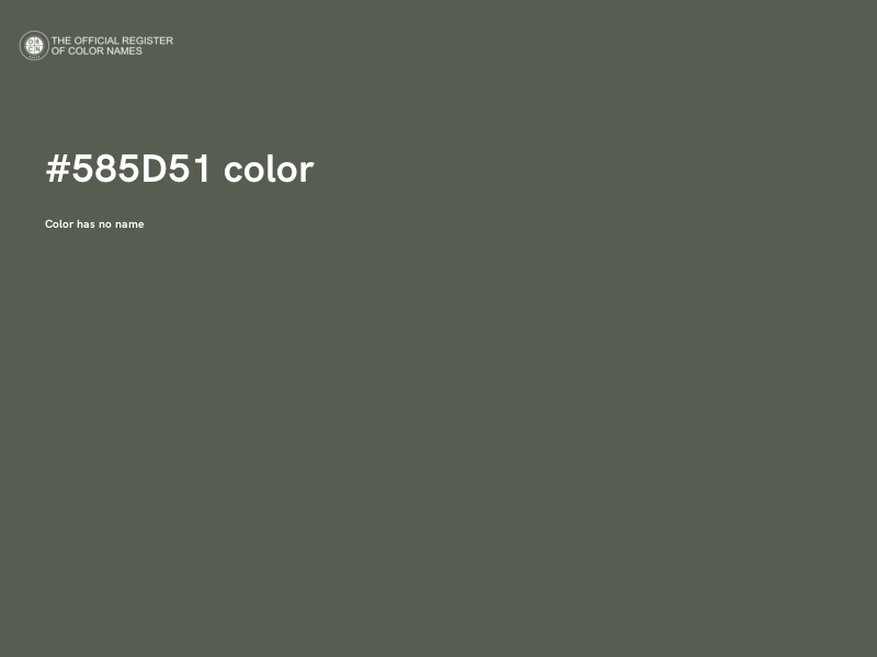 #585D51 color image