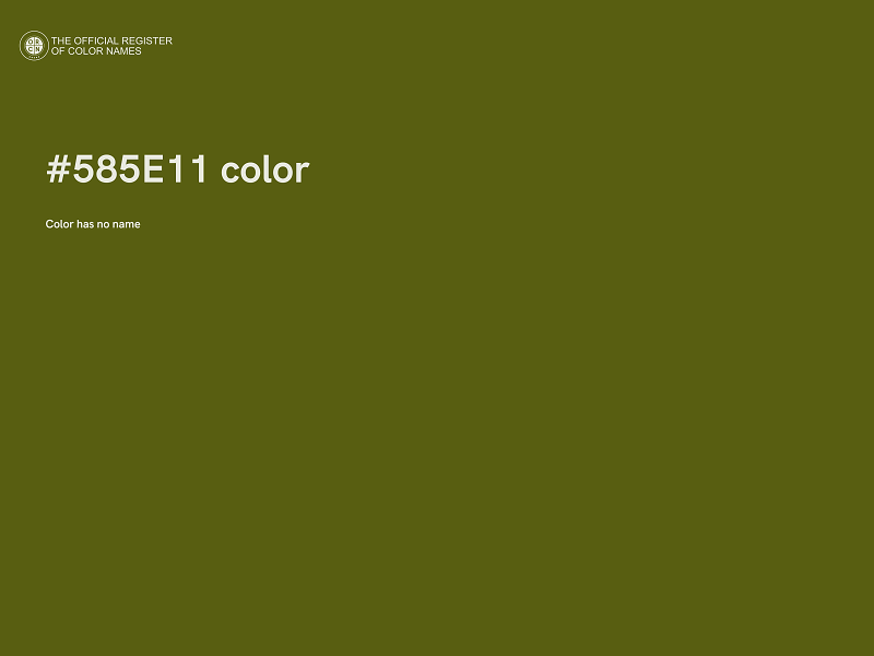 #585E11 color image