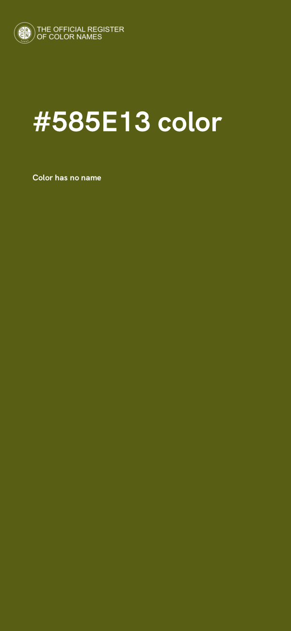 #585E13 color image