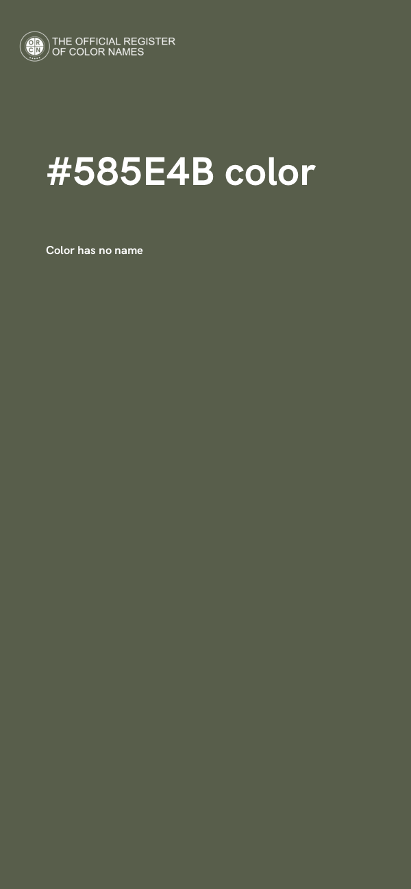 #585E4B color image