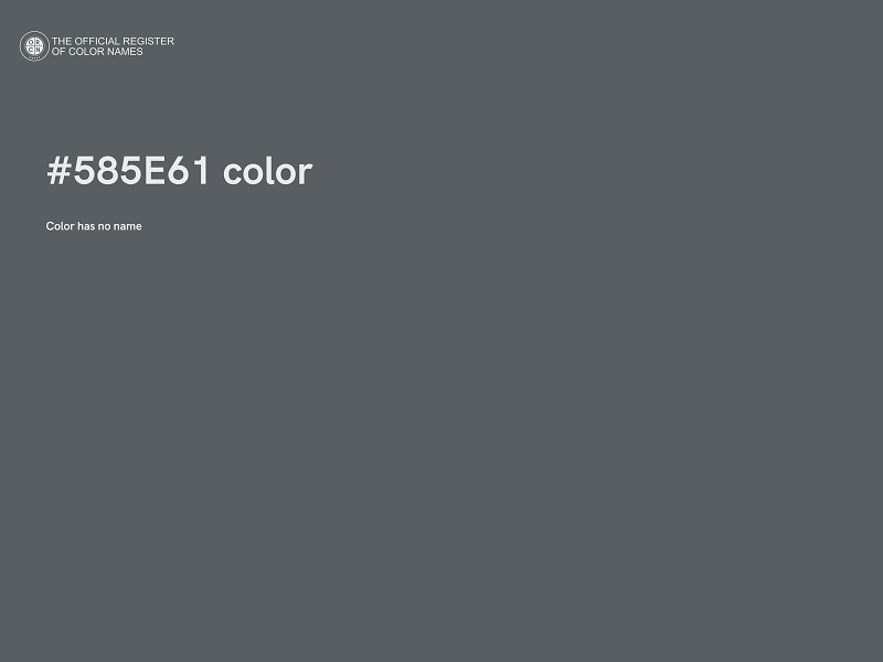 #585E61 color image