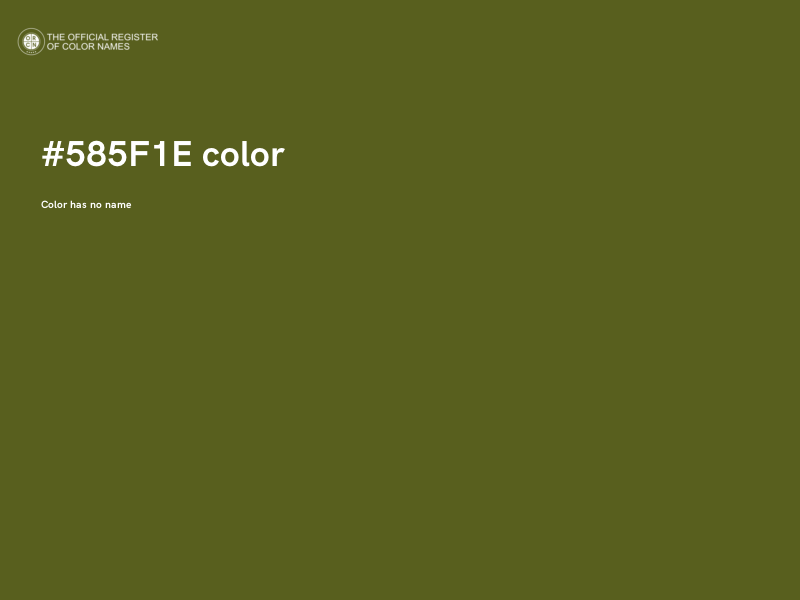#585F1E color image