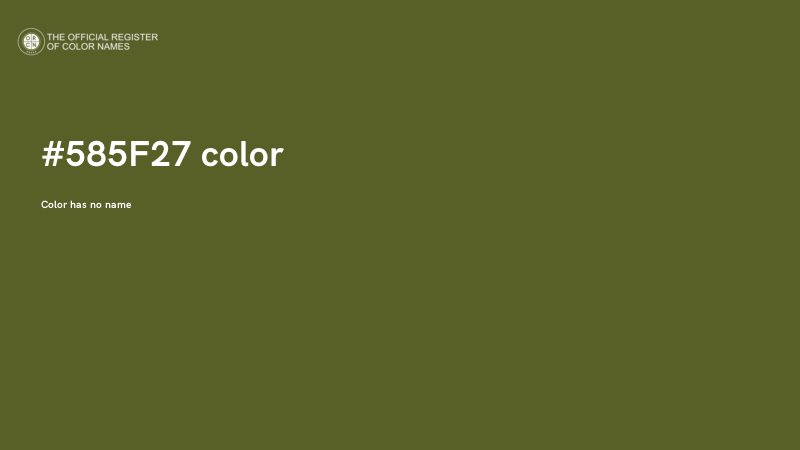 #585F27 color image