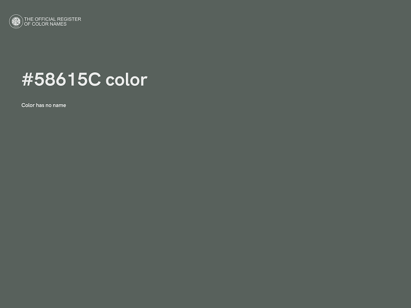 #58615C color image
