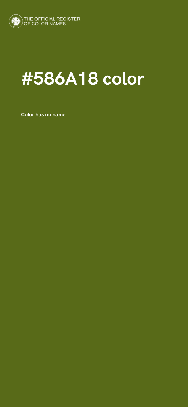 #586A18 color image