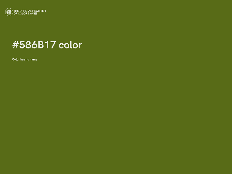 #586B17 color image