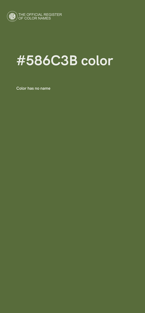 #586C3B color image
