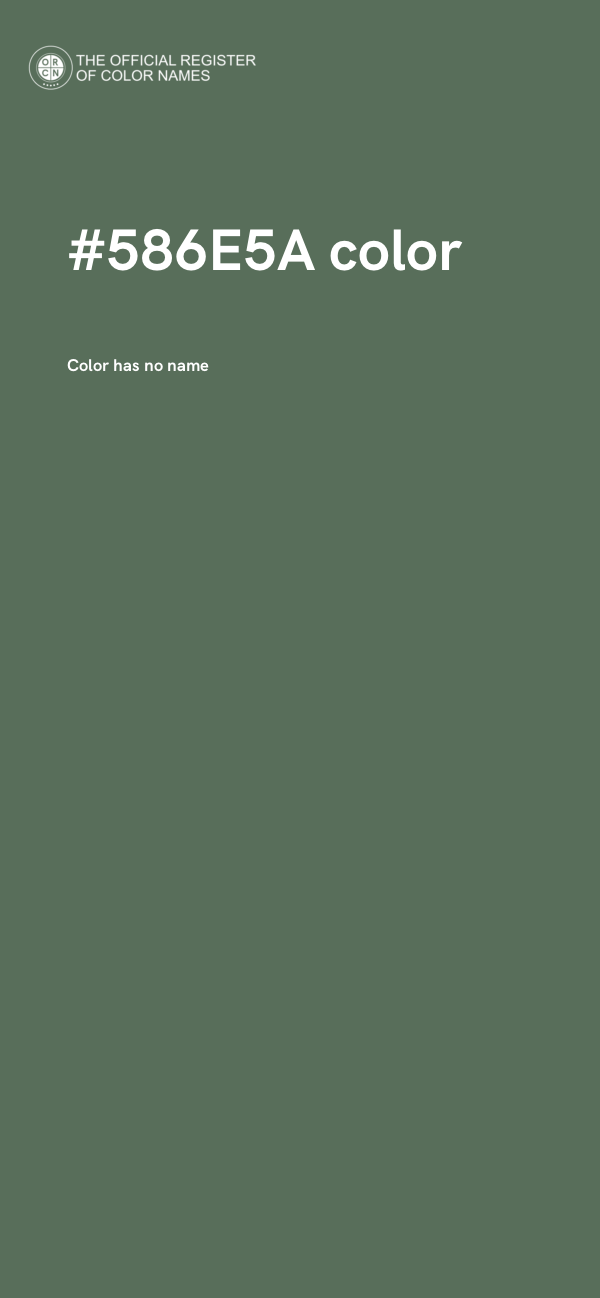 #586E5A color image