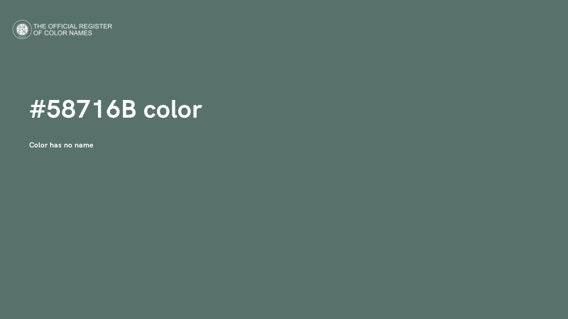 #58716B color image