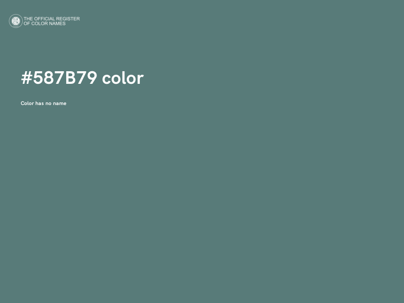 #587B79 color image