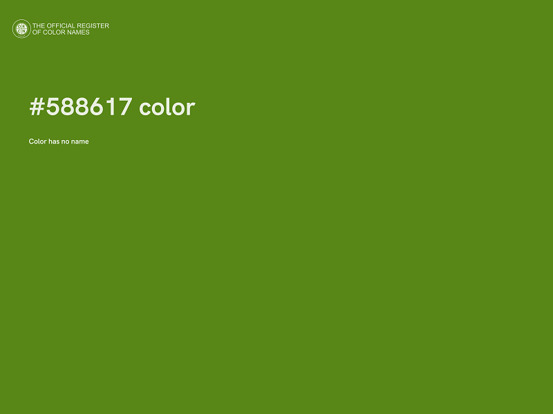 #588617 color image