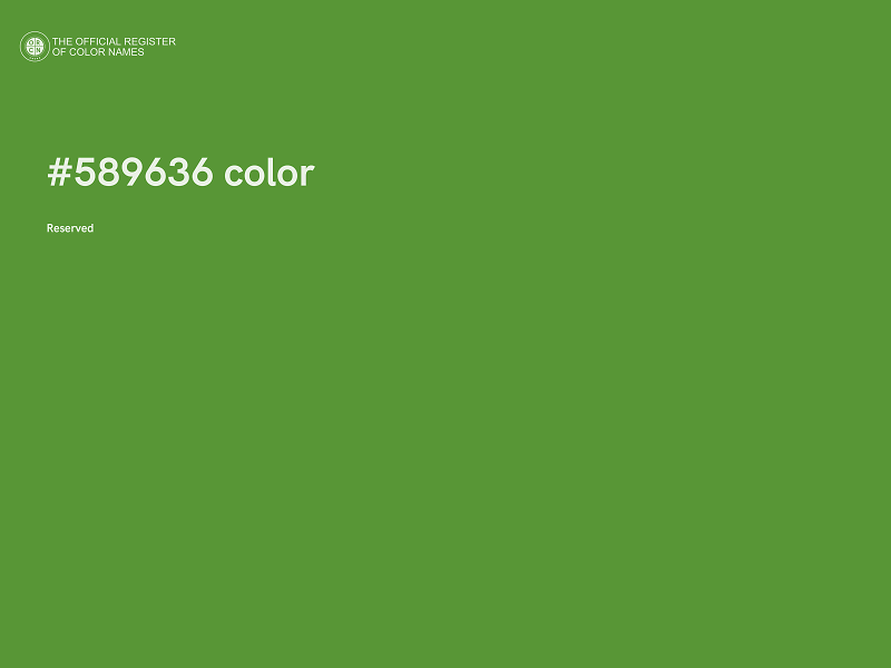 #589636 color image
