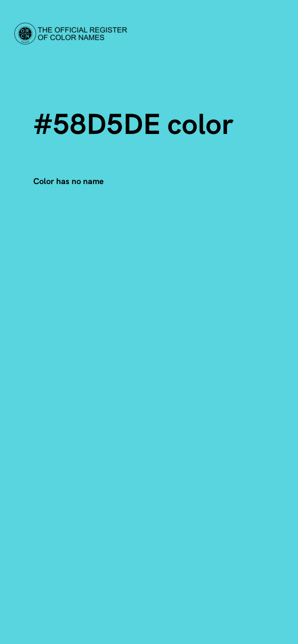 #58D5DE color image