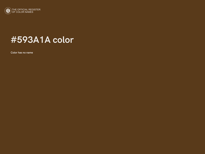 #593A1A color image