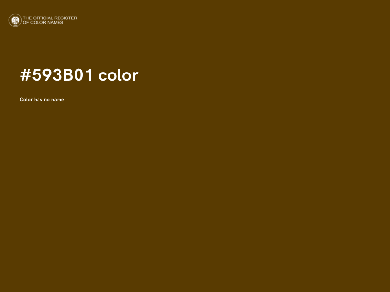 #593B01 color image