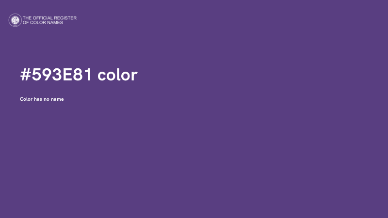 #593E81 color image