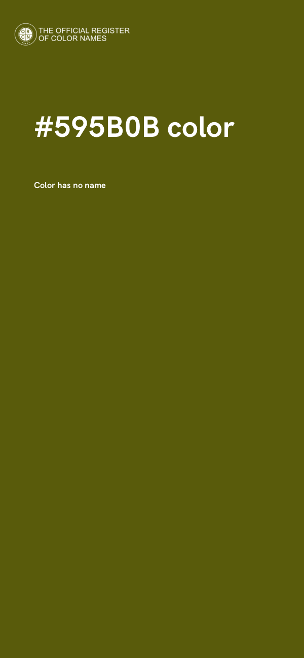 #595B0B color image