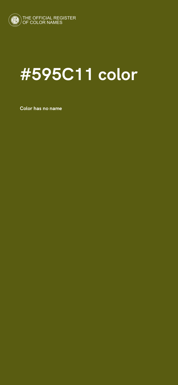 #595C11 color image