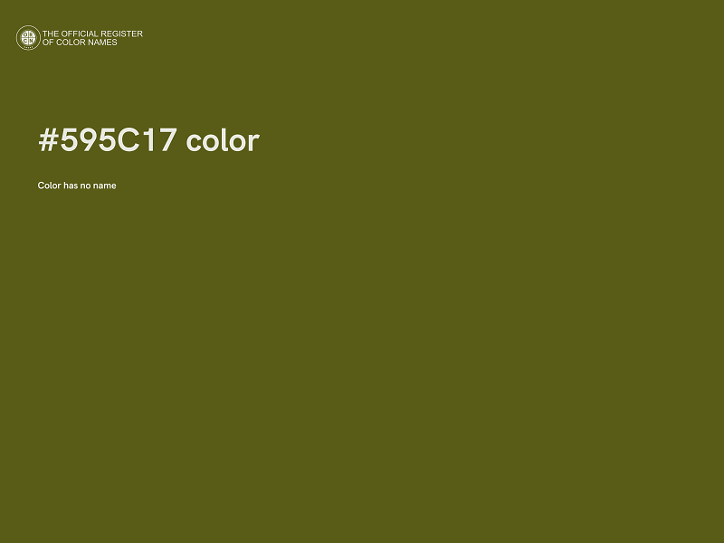 #595C17 color image
