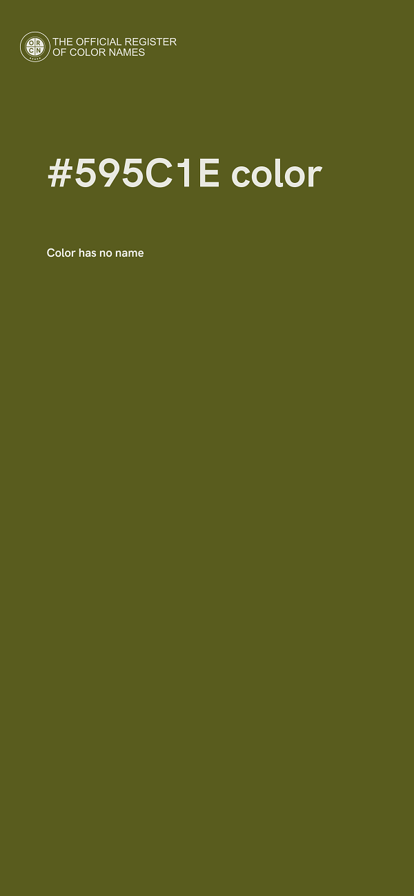 #595C1E color image