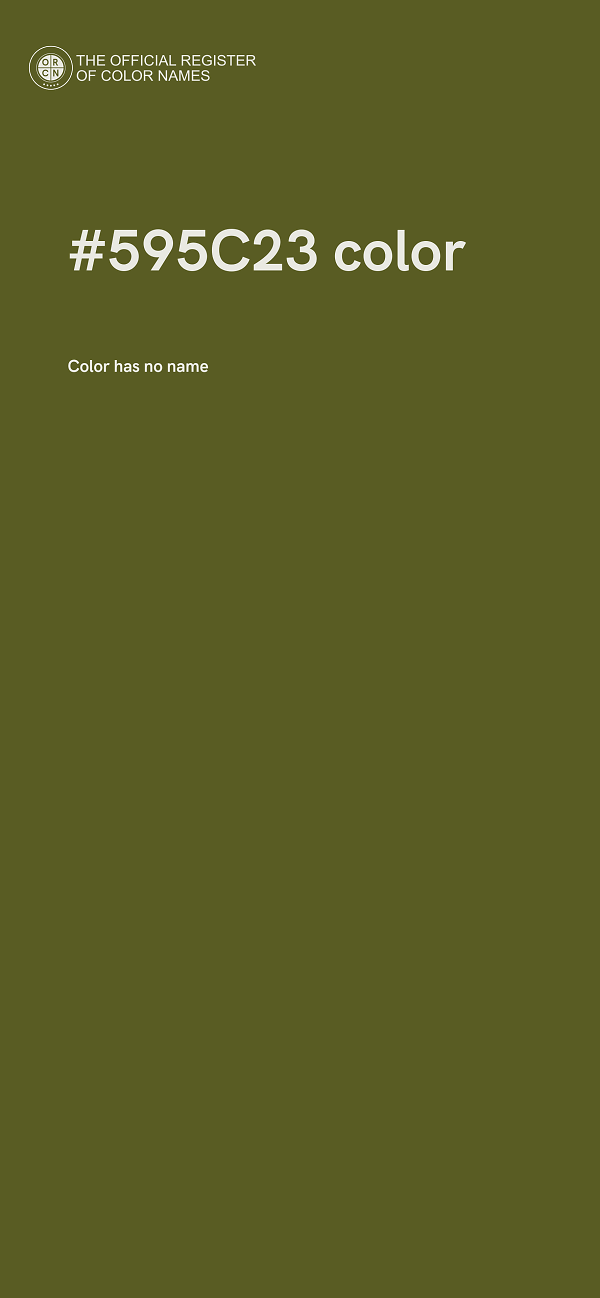 #595C23 color image