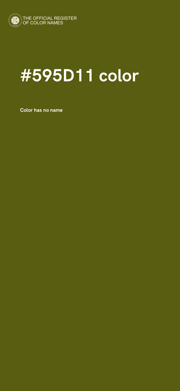 #595D11 color image