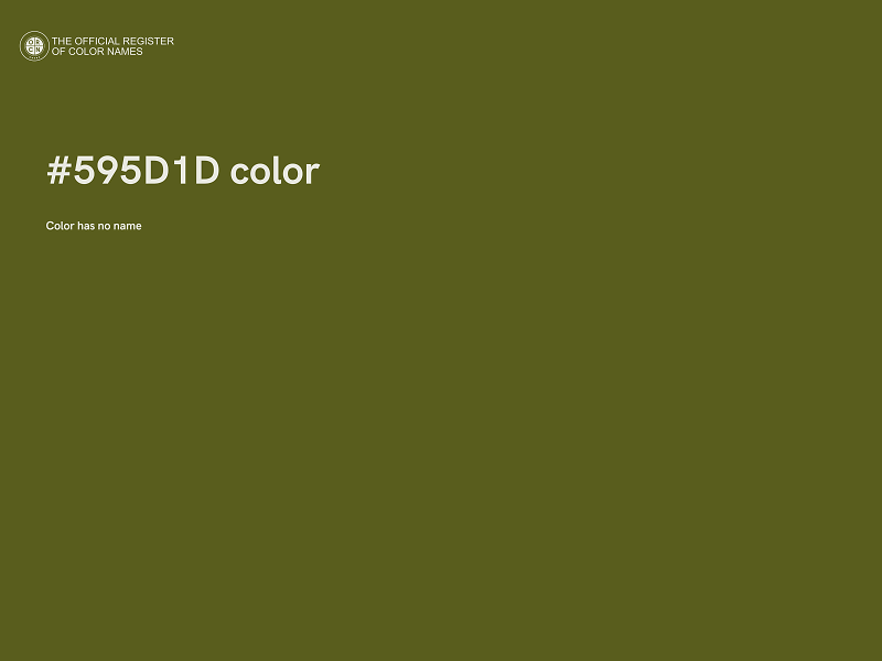 #595D1D color image
