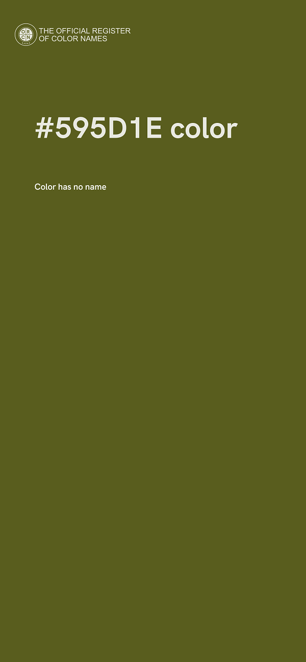 #595D1E color image