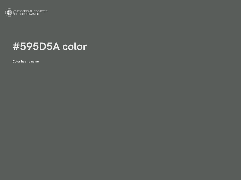 #595D5A color image