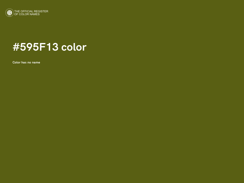 #595F13 color image