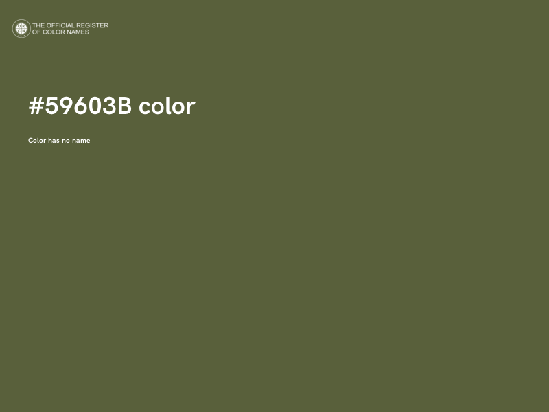 #59603B color image