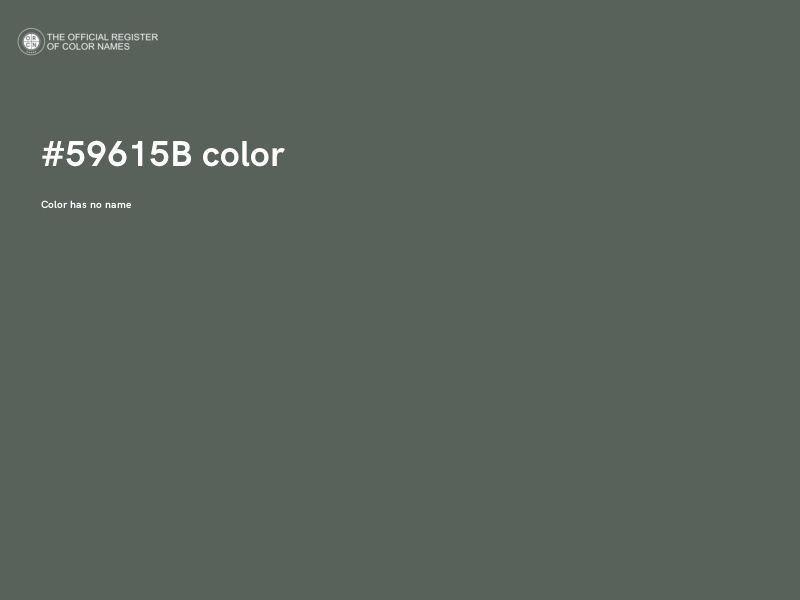 #59615B color image