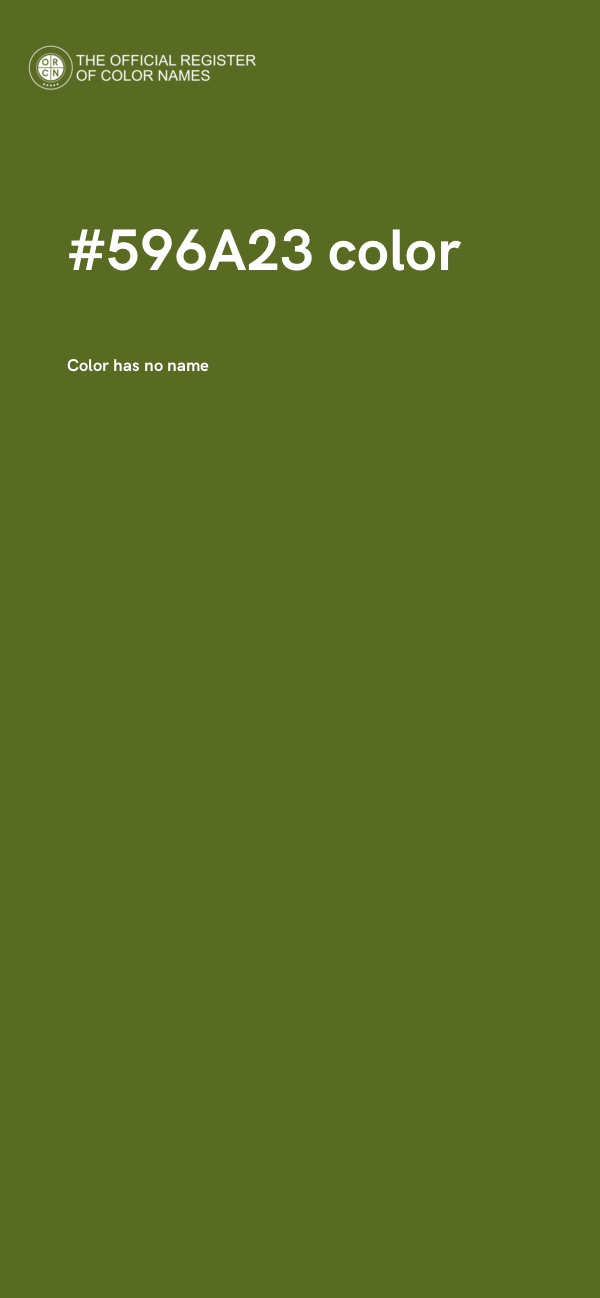 #596A23 color image