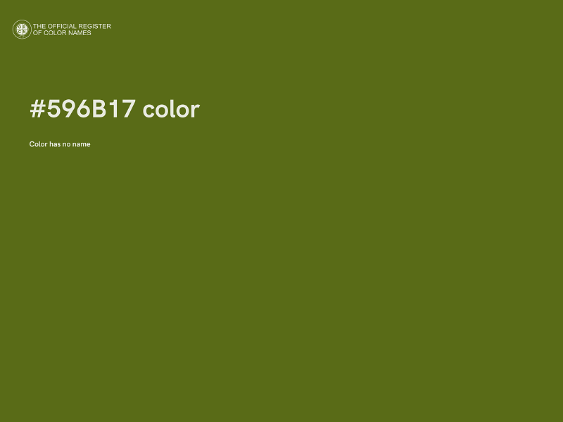 #596B17 color image