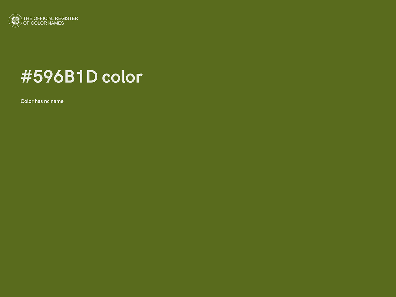 #596B1D color image