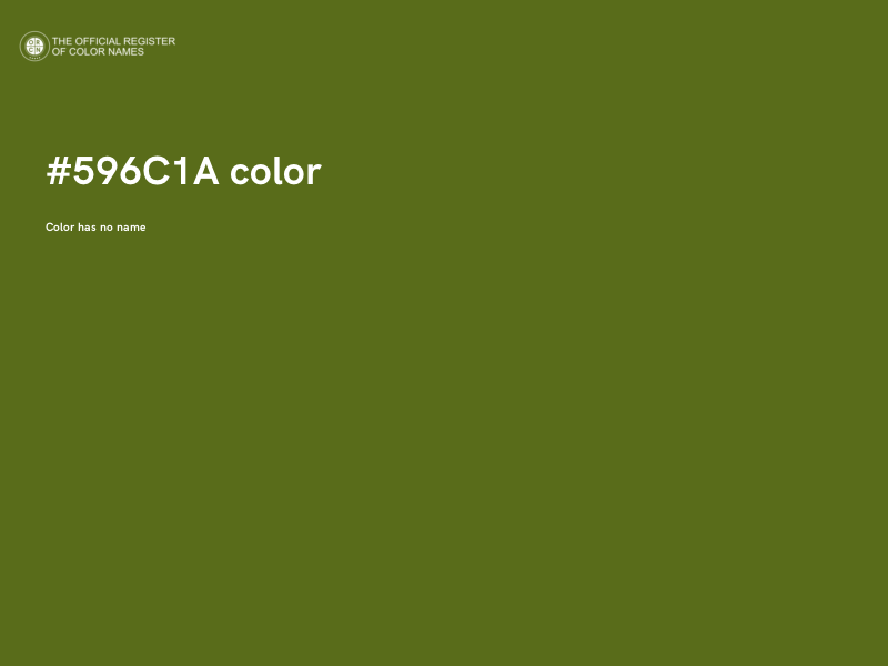 #596C1A color image
