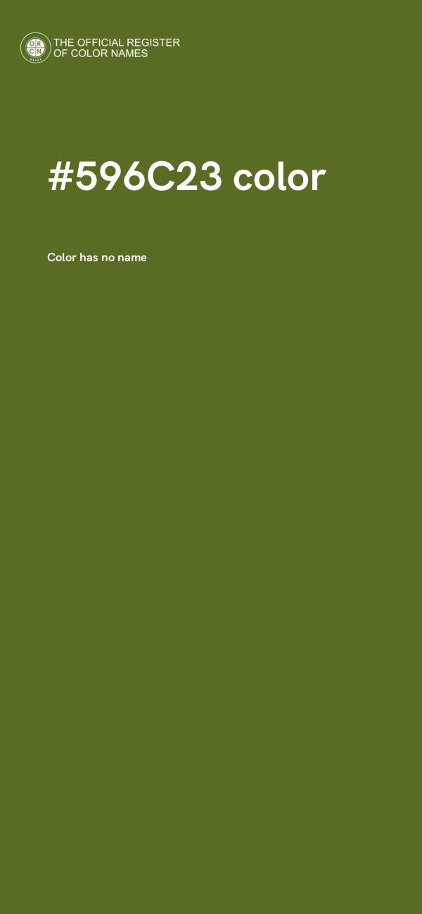 #596C23 color image