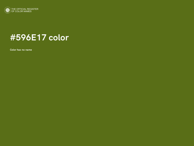 #596E17 color image
