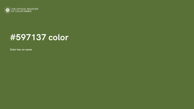 #597137 color image