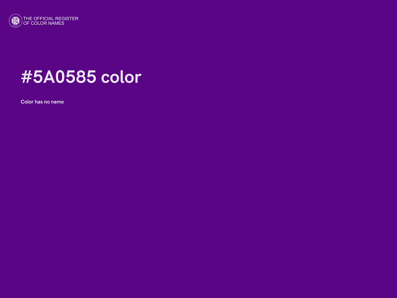 #5A0585 color image