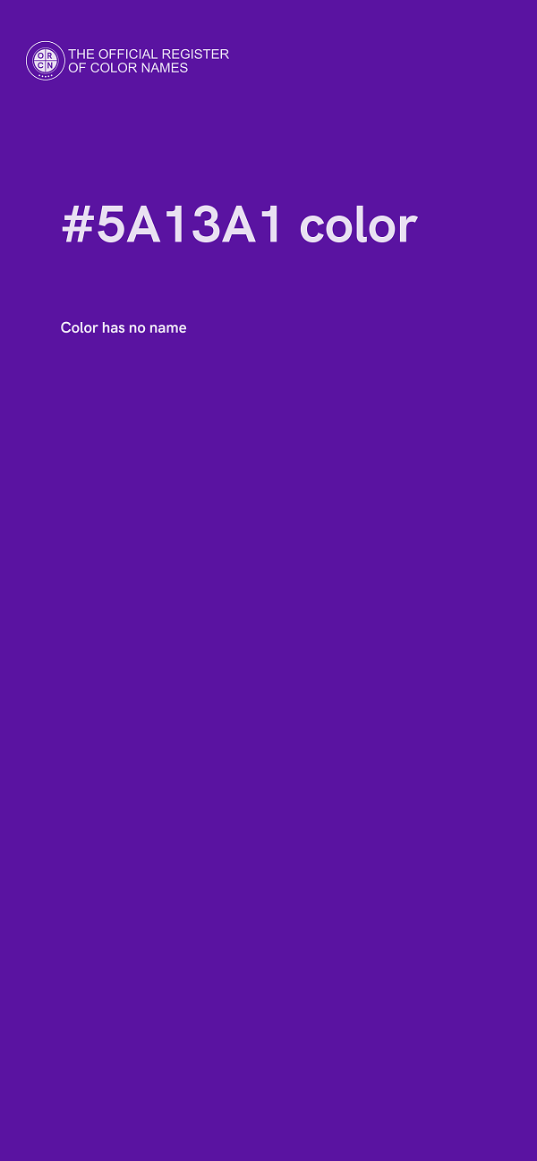 #5A13A1 color image
