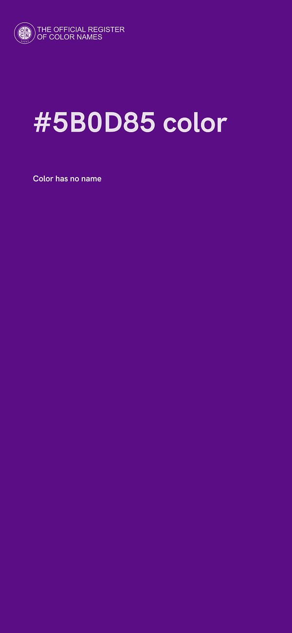 #5B0D85 color image