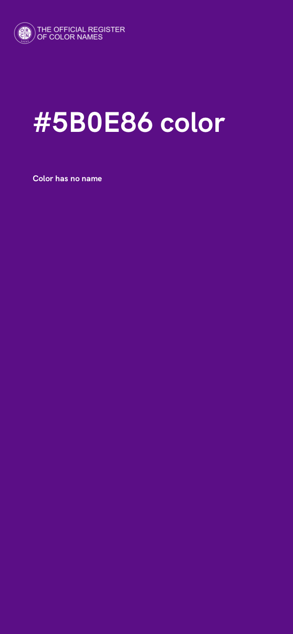 #5B0E86 color image