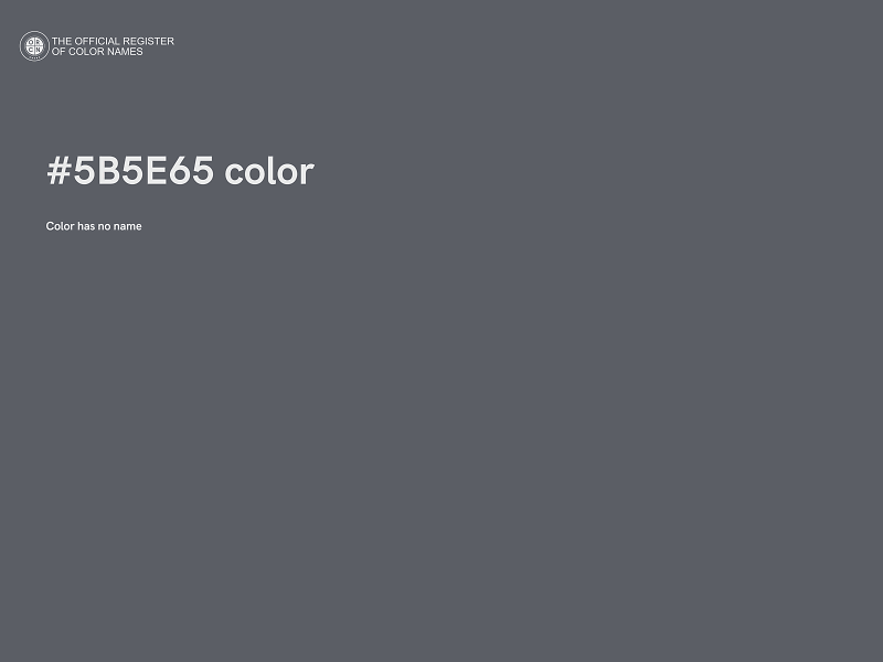 #5B5E65 color image