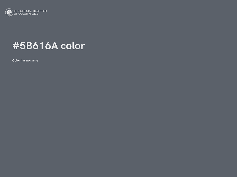 #5B616A color image