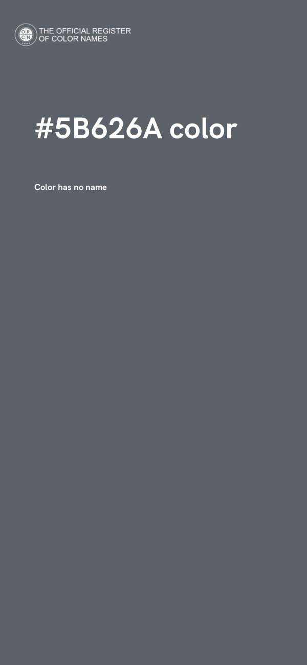 #5B626A color image